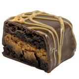 Peanut Butter Brownie Bite